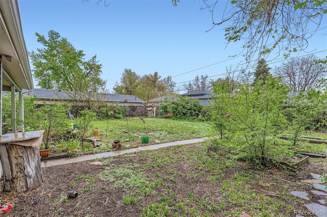 6260 W 45th Pl, Wheat Ridge, CO 80033 - view of yard featuring a garden