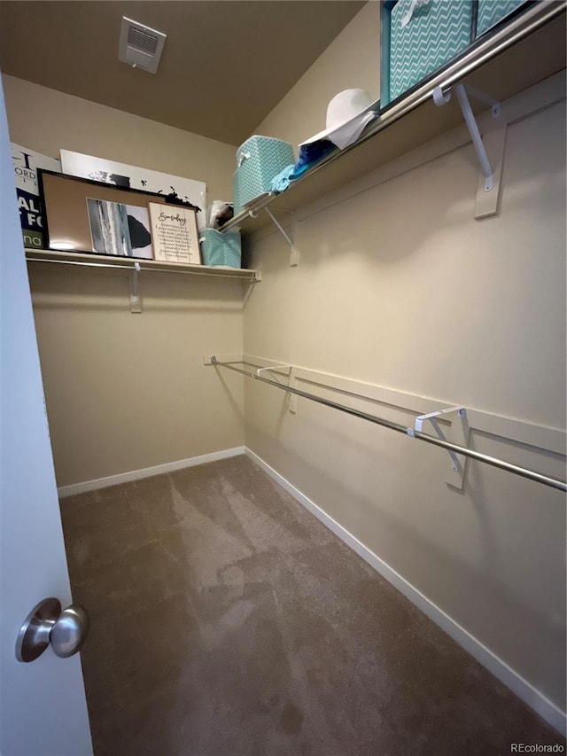 3892 Hackberry St, Wellington, CO 80549 - walk in closet featuring carpet flooring