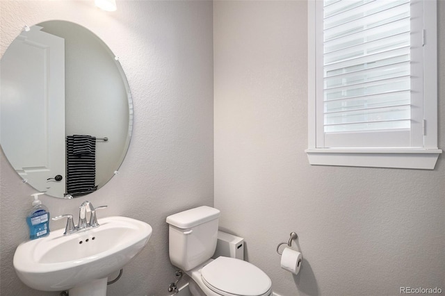 9380 Bear River St, Littleton, CO 80125 - bathroom with a sink, toilet, and a textured wall