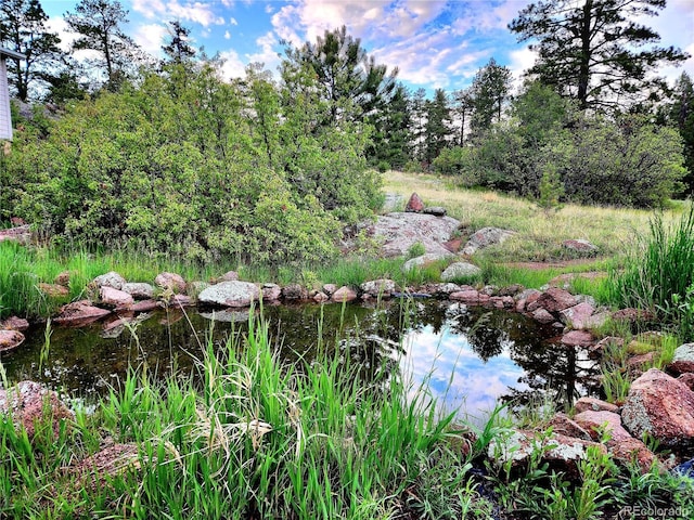 324 Pike View Ln, Florissant, CO 80816 - photo 4