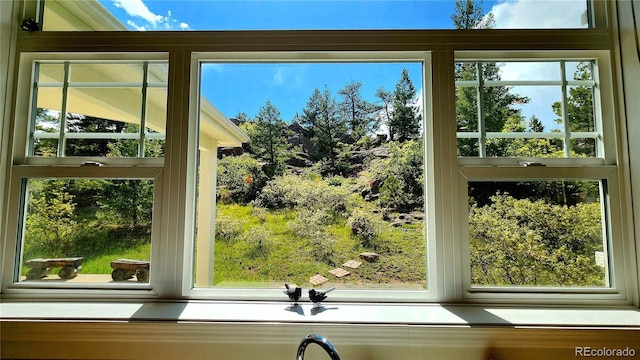 324 Pike View Ln, Florissant, CO 80816 - photo 5
