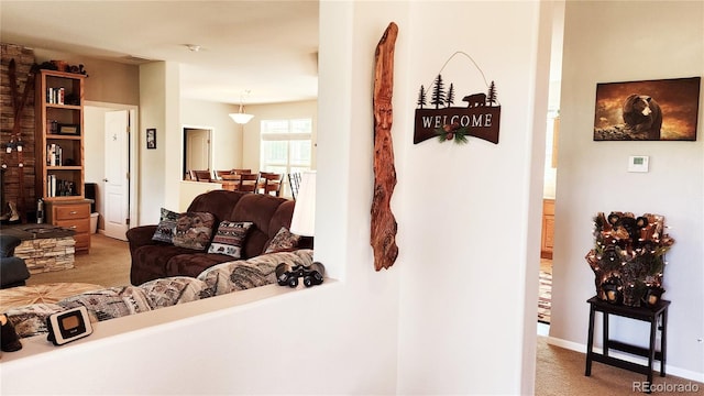 324 Pike View Ln, Florissant, CO 80816 - photo 8