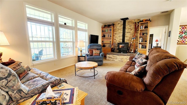 324 Pike View Ln, Florissant, CO 80816 - photo 12