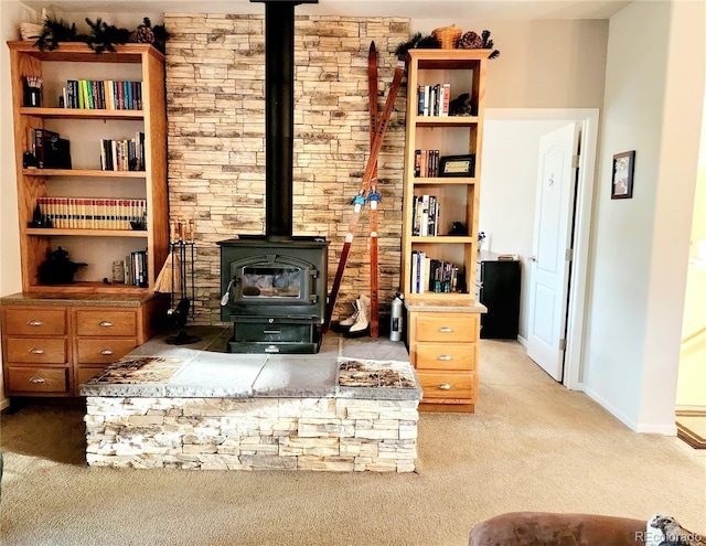324 Pike View Ln, Florissant, CO 80816 - photo 14