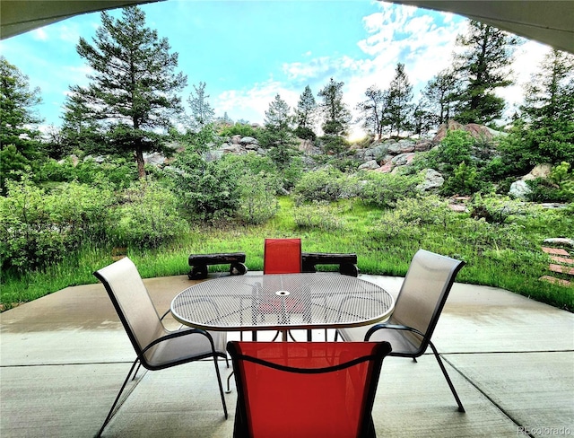 324 Pike View Ln, Florissant, CO 80816 - photo 19