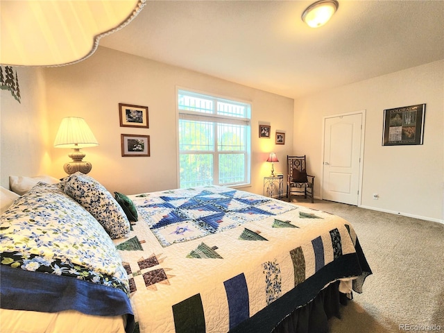 324 Pike View Ln, Florissant, CO 80816 - photo 20