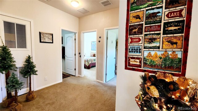 324 Pike View Ln, Florissant, CO 80816 - photo 26