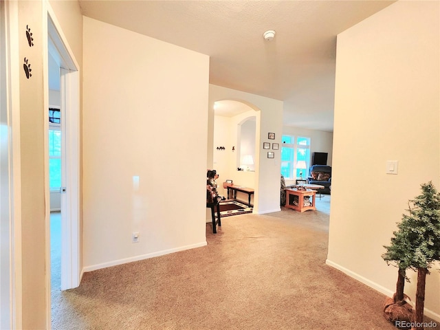 324 Pike View Ln, Florissant, CO 80816 - photo 27