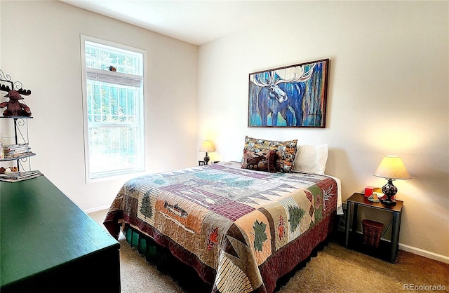 324 Pike View Ln, Florissant, CO 80816 - photo 30