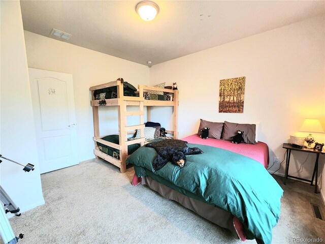 324 Pike View Ln, Florissant, CO 80816 - photo 35