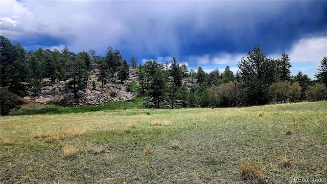 324 Pike View Ln, Florissant, CO 80816 - photo 38