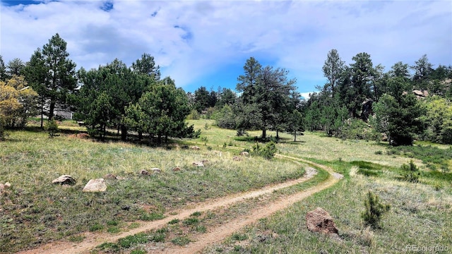 324 Pike View Ln, Florissant, CO 80816 - photo 39