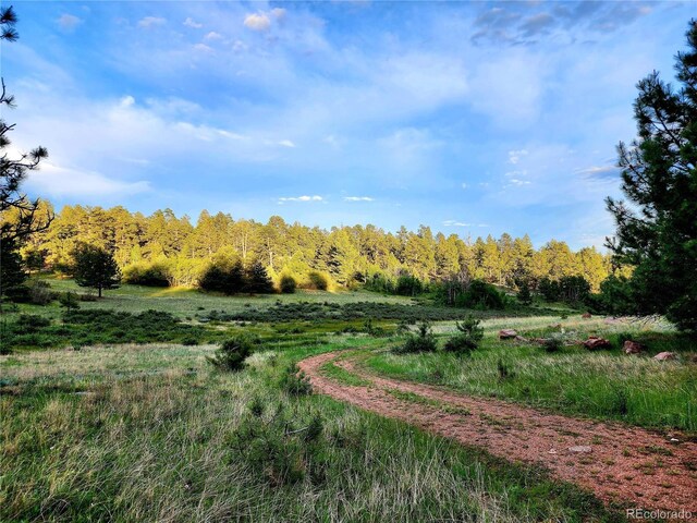 324 Pike View Ln, Florissant, CO 80816 - photo 40
