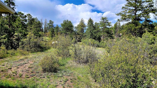 324 Pike View Ln, Florissant, CO 80816 - photo 41