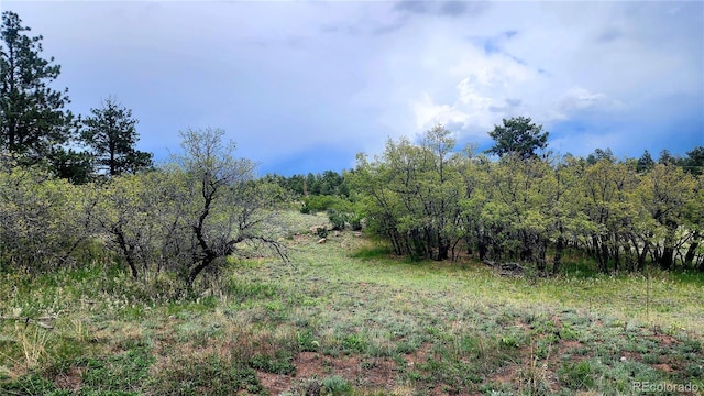 324 Pike View Ln, Florissant, CO 80816 - photo 43