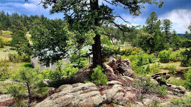 324 Pike View Ln, Florissant, CO 80816 - photo 44