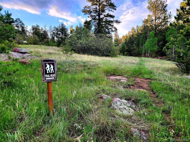 324 Pike View Ln, Florissant, CO 80816 - photo 46