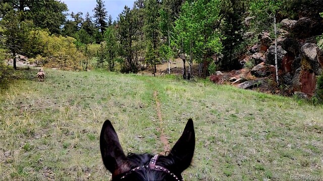 324 Pike View Ln, Florissant, CO 80816 - photo 47