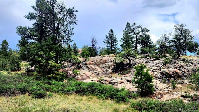 324 Pike View Ln, Florissant, CO 80816 - photo 48