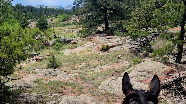 324 Pike View Ln, Florissant, CO 80816 - photo 49