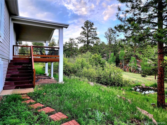 324 Pike View Ln, Florissant, CO 80816 - photo 50
