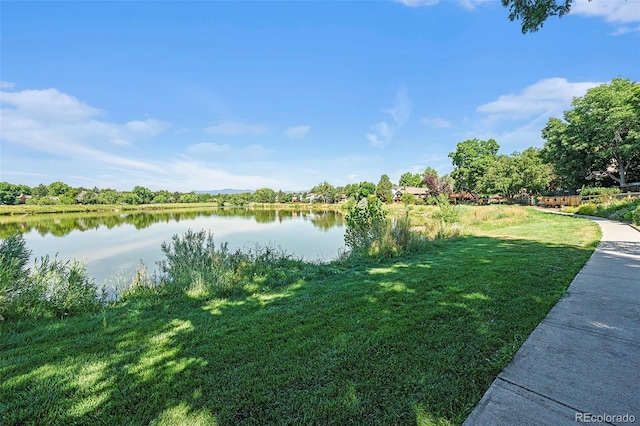 8002 Field Ct, Arvada, CO 80005 - water view
