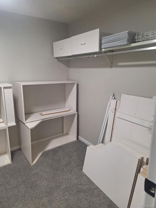 6207 W 92nd Pl, Westminster, CO 80031 - walk in closet with carpet flooring