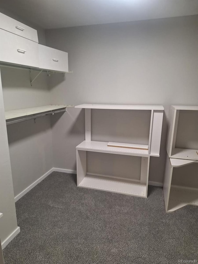 6207 W 92nd Pl, Westminster, CO 80031 - walk in closet featuring dark colored carpet