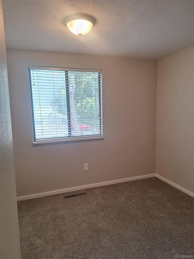 6207 W 92nd Pl, Westminster, CO 80031 - empty room featuring plenty of natural light, a textured ceiling, and carpet
