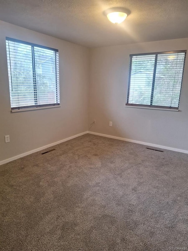 6207 W 92nd Pl, Westminster, CO 80031 - carpeted empty room featuring plenty of natural light and a textured ceiling