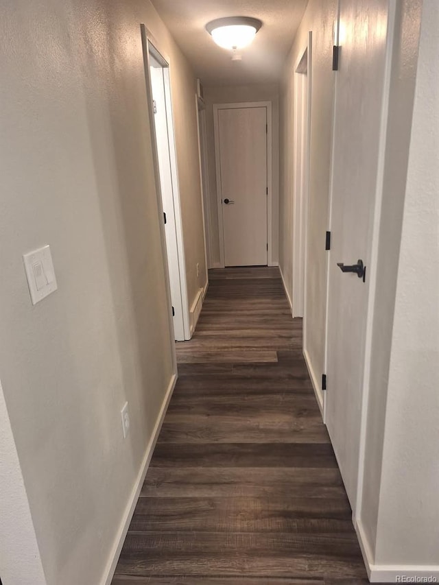 6207 W 92nd Pl, Westminster, CO 80031 - hall with baseboards and dark wood finished floors