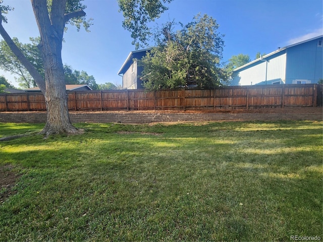 6207 W 92nd Pl, Westminster, CO 80031 - view of fenced backyard