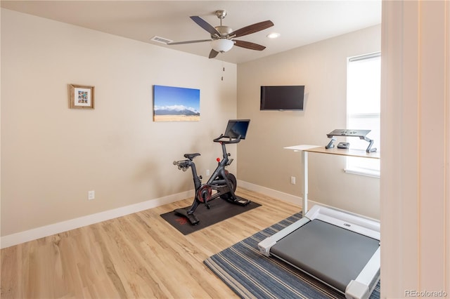 exercise room featuring wood-type flooring and ceiling fan