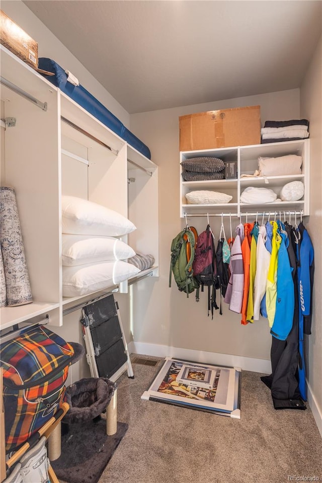 walk in closet with carpet