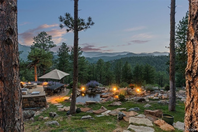 2929 Highlands View Rd, Evergreen, CO 80439 - view of mountain backdrop featuring a forest