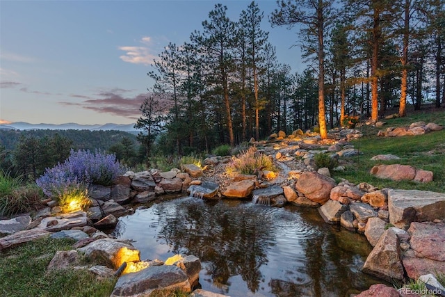2929 Highlands View Rd, Evergreen, CO 80439 - view of yard with a mountain view and a small pond