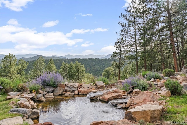 2929 Highlands View Rd, Evergreen, CO 80439 - view of mountain background with a forest