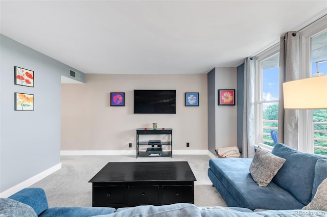 5955 E 10th Ave Unit 507, Denver, CO 80220 - carpeted living room featuring baseboards