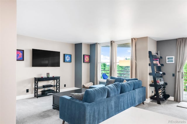 5955 E 10th Ave Unit 507, Denver, CO 80220 - living area featuring light carpet and baseboards
