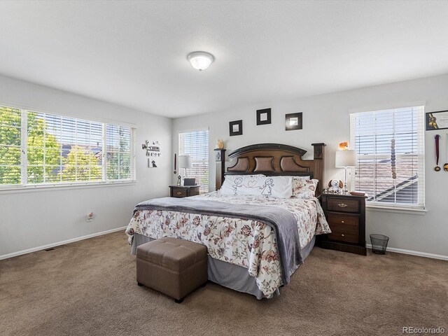 6075 N Espana St, Aurora, CO 80019 - photo 40