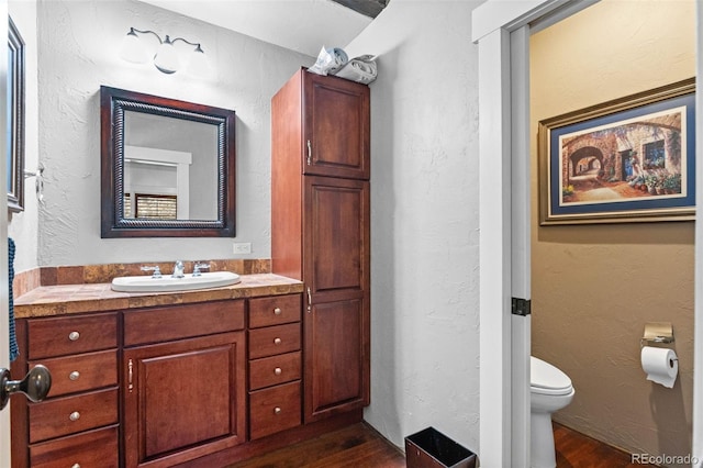50 Albion St, Denver, CO 80220 - bathroom featuring wood finished floors, vanity, and a textured wall