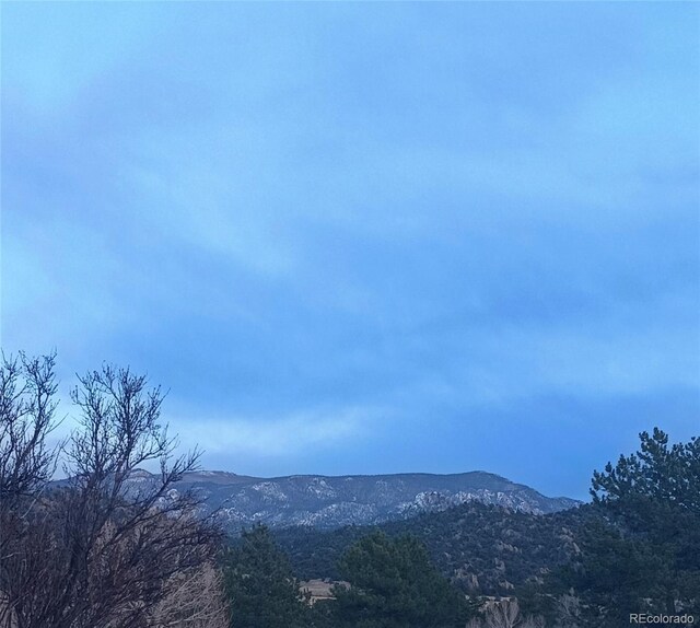 10795 County Road 197a Unit 137, Nathrop, CO 81236 - view of mountain background