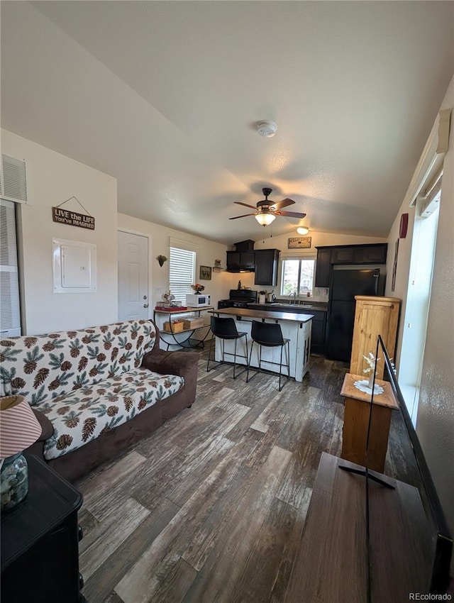 10795 County Road 197a Unit 137, Nathrop, CO 81236 - living area featuring dark wood-type flooring, a ceiling fan, and lofted ceiling
