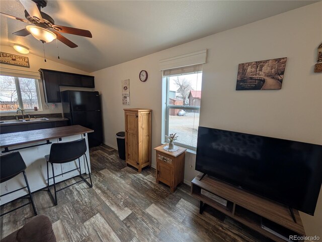 10795 County Road 197a Unit 137, Nathrop, CO 81236 - kitchen featuring freestanding refrigerator, ceiling fan, dark wood-style floors, a sink, and vaulted ceiling