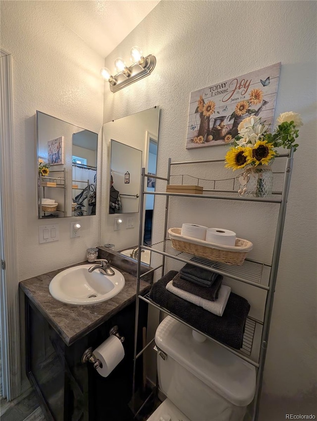 10795 County Road 197a Unit 137, Nathrop, CO 81236 - half bathroom with vanity, toilet, and a textured wall
