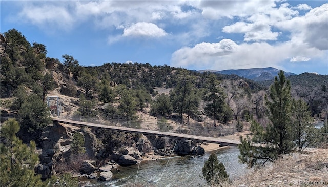 10795 County Road 197a Unit 137, Nathrop, CO 81236 - mountain view featuring a large body of water