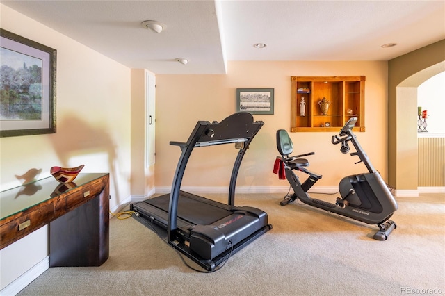 10218 Woodrose Ct, Highlands Ranch, CO 80129 - exercise room featuring baseboards, carpet flooring, and arched walkways