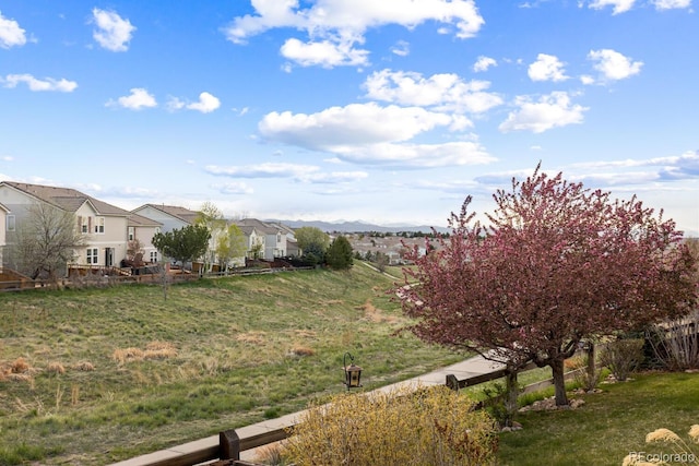 1983 Candleglow St, Castle Rock, CO 80109 - view of yard with a residential view and a mountain view