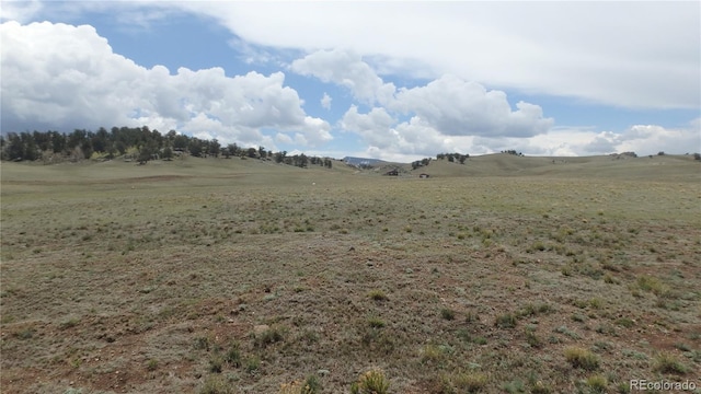 Delaware Rd, Hartsel, CO 80449 - photo 3