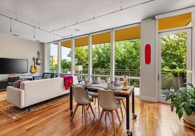 dining room featuring floor to ceiling windows and light wood finished floors